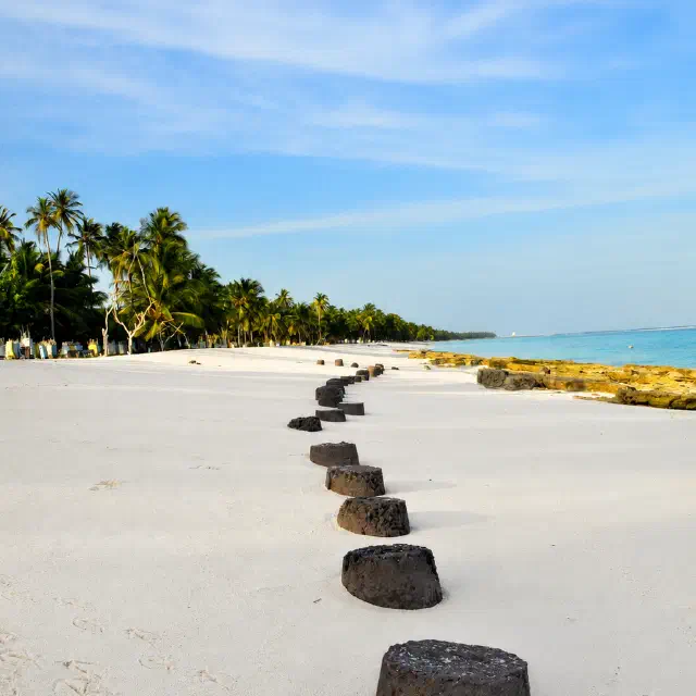 White tropical beach with palm trees, turquoise water, blue sky, and a line of dark stone blocks leading into the distance.